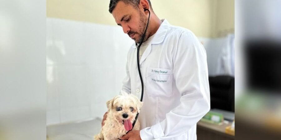 Veterinário alerta para aumento de casos de cinomose em Manaus e a importância da prevenção