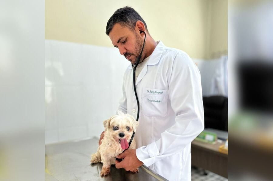 Veterinário alerta para aumento de casos de cinomose em Manaus e a importância da prevenção