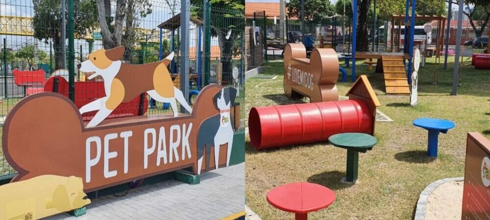 Melhores parques pet-friendly em Manaus para passear com seu cão